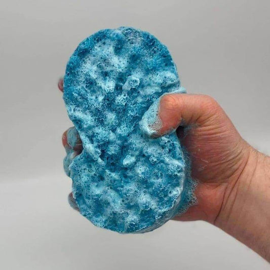 Large Soap Sponges